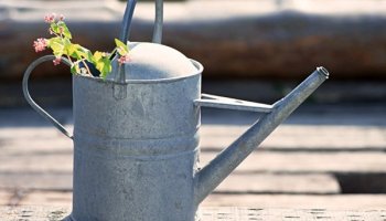 Starting a Garden or Orchard: Water