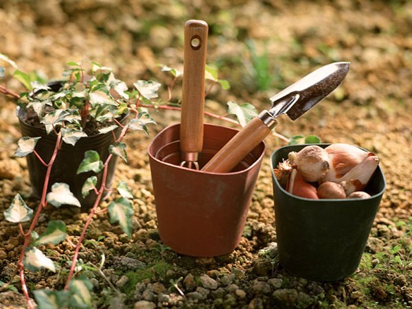Starting a Garden or Orchard: Workload