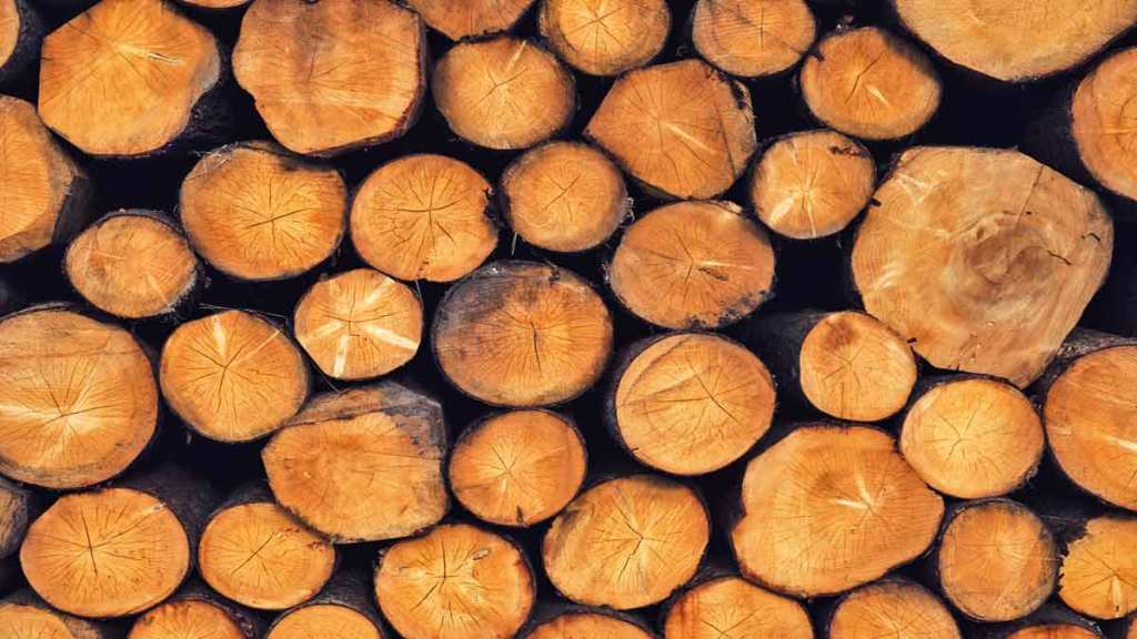 Choosing the Best Firewood for You